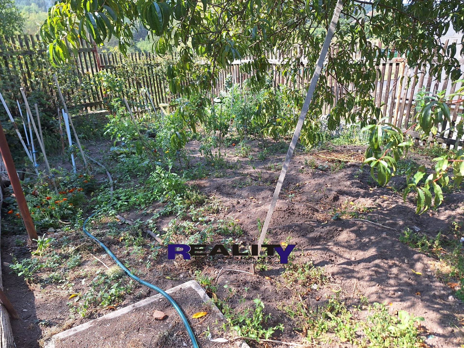IMG-20240904-WA0076