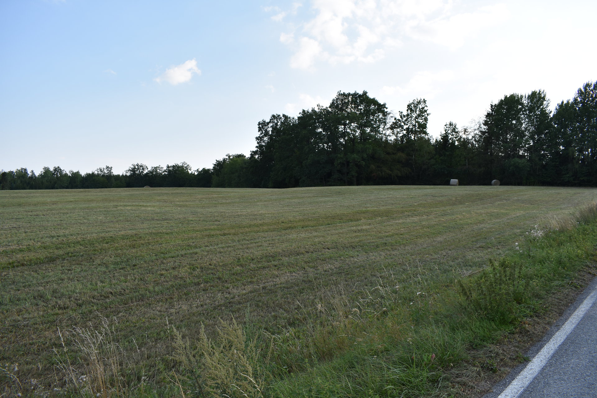 Pronájem zemědělské půdy, 3 642 m² Hluboká nad Vltavou (okres České Budějovice), Purkarec, obrázek 3