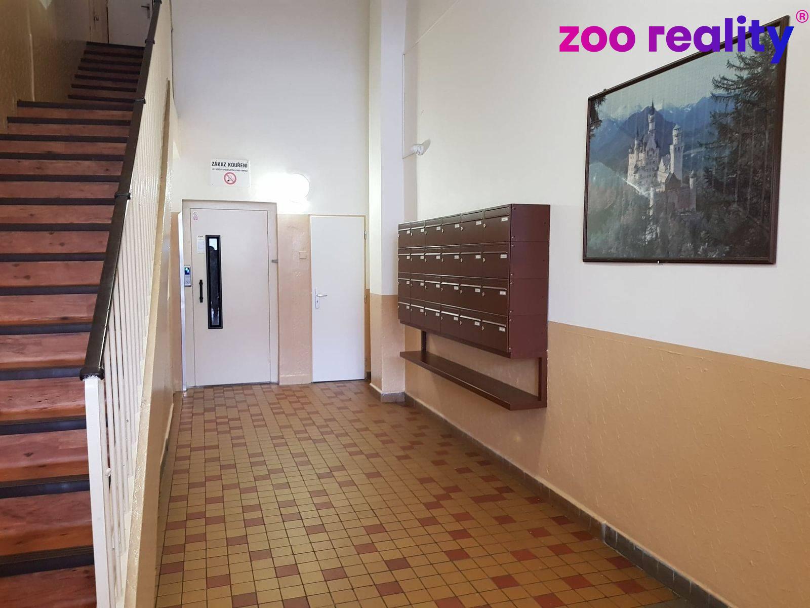 81979718-2441126439469957-2308762886895304704-n.17