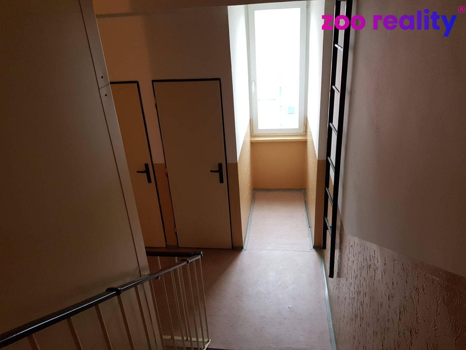 81788845-2358503871038813-6710559144966881280-n.17