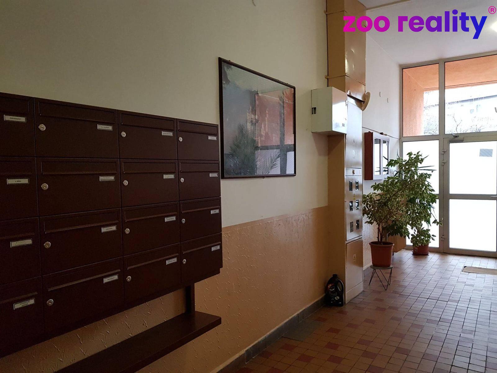 81602663-2545661892347247-4372535496287453184-n.17