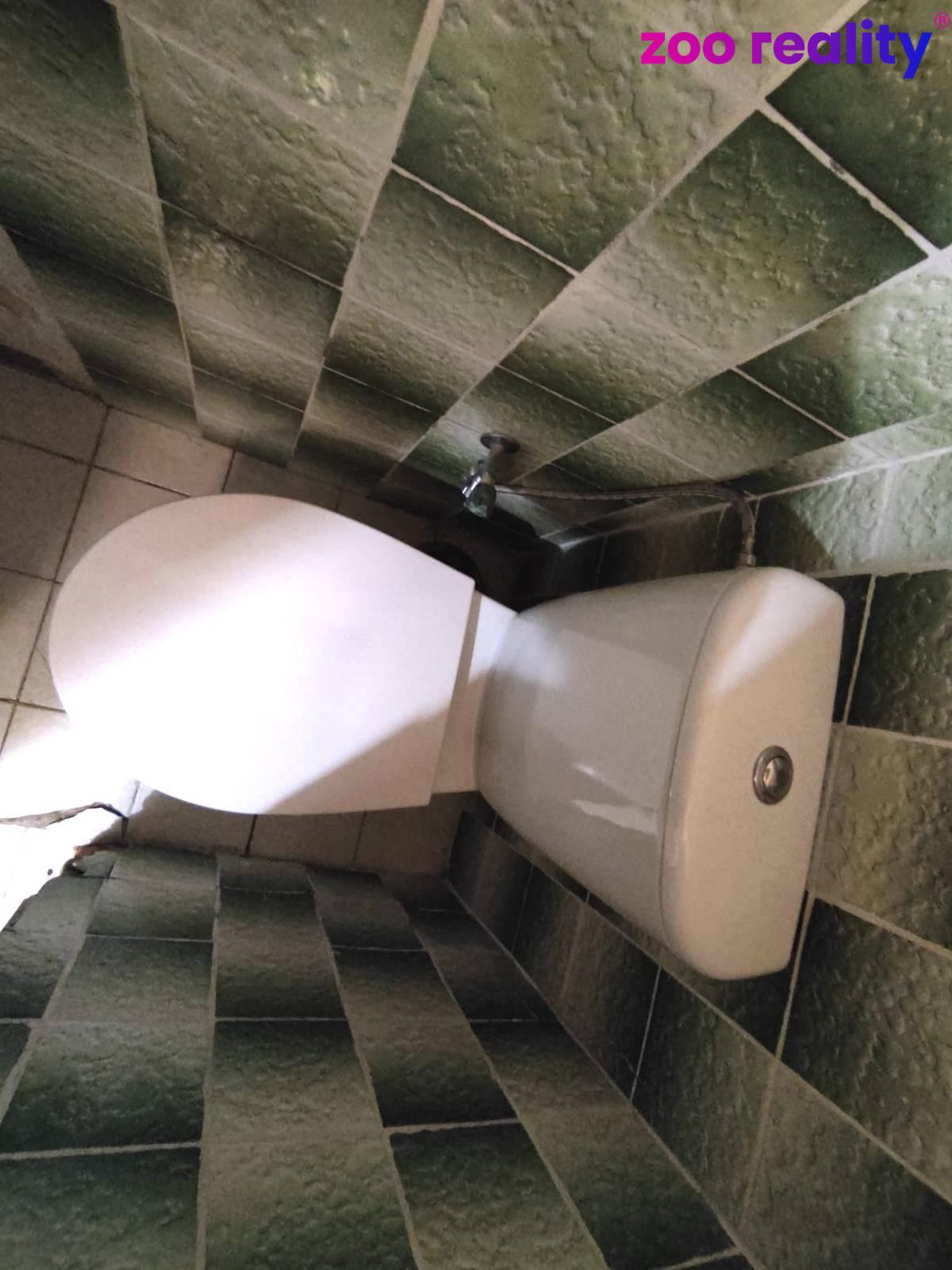 0f8169db-9300-462d-a6ba-3593903f5118.1770203507.jp