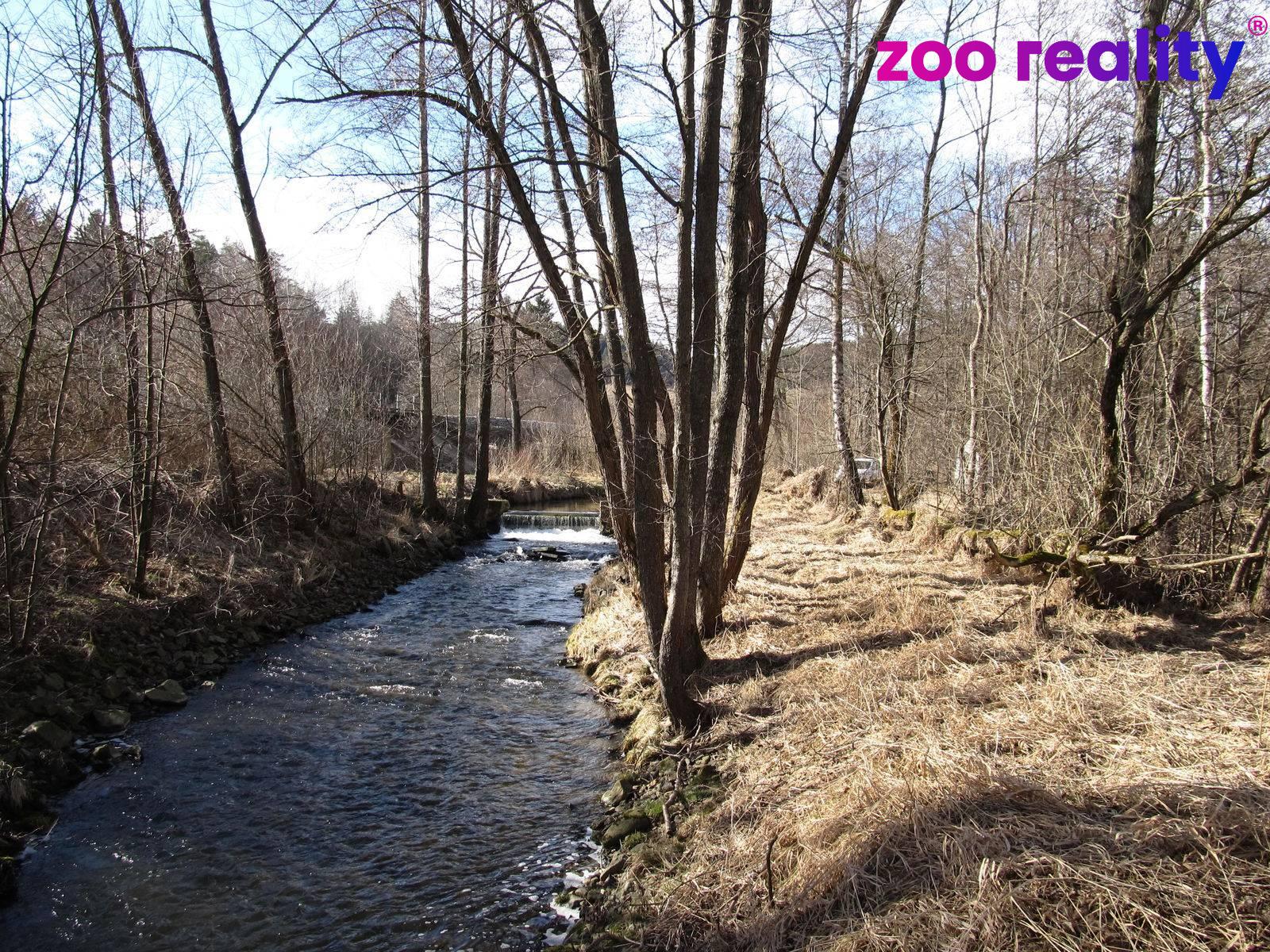 img-2404.1708345895.jpg