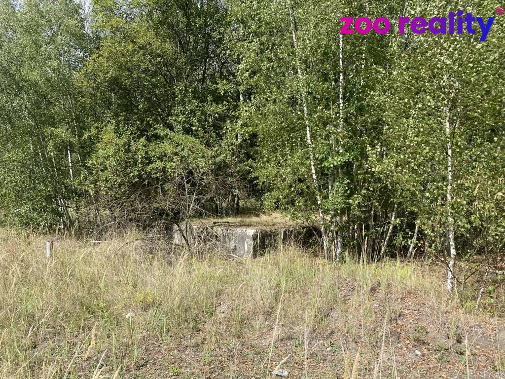 img-6626.1788521333.jpg