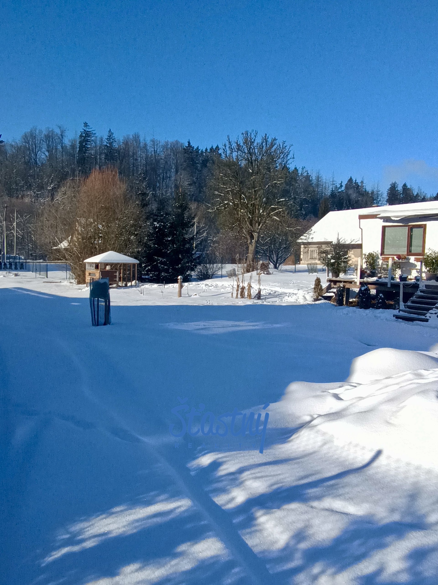 IMG_20250113_103428049