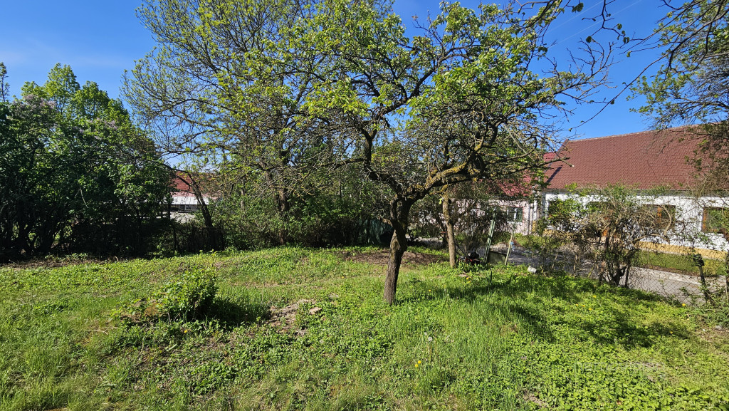 Foto č. 3