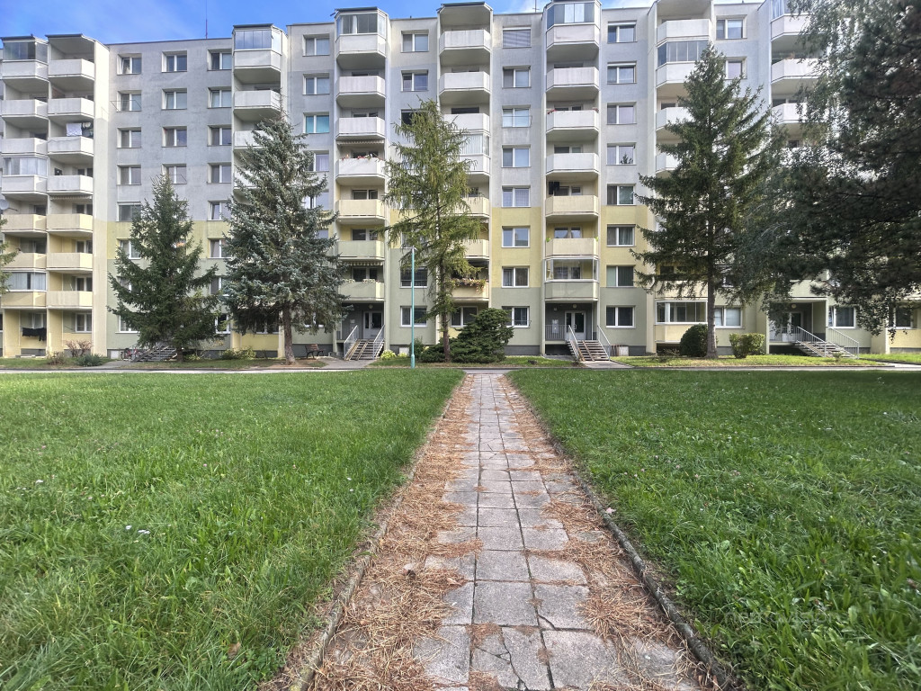 Foto č. 1
