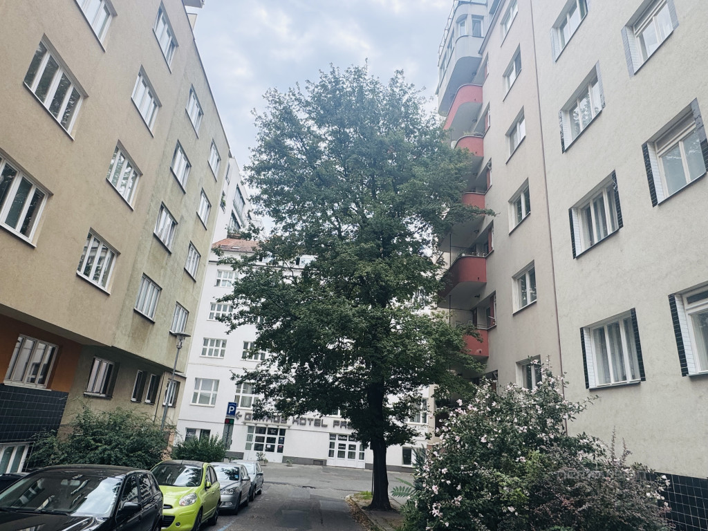 Foto č. 18
