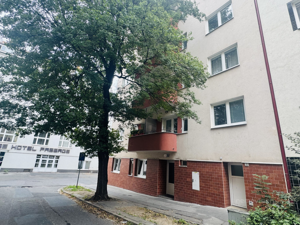 Foto č. 19
