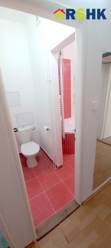 Pronájem bytu 2+1+šatna, 60 m&sup2;, Haškova ulice