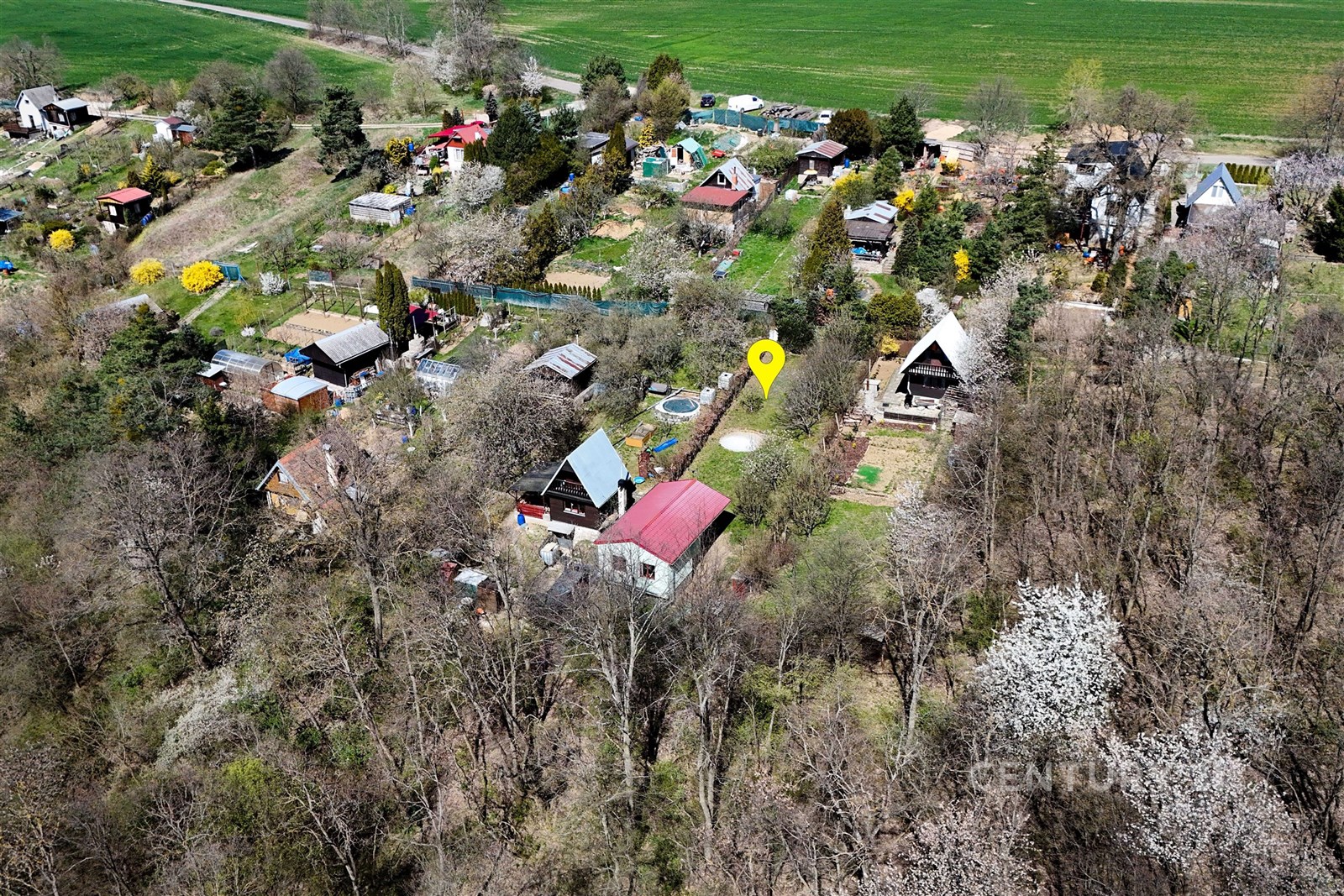 Prázdná zahrada s travnatým porostem, ovocnými stromy a dřevěnou chatou, ideální pro rekreační využití. Nachází se v klidné přírodní lokalitě.