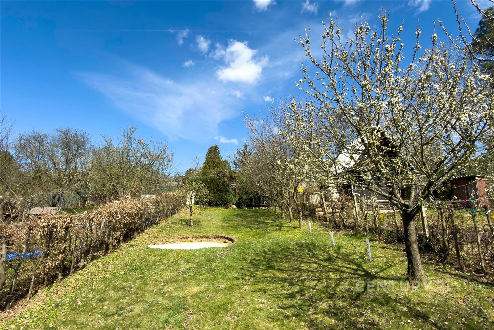 Zahrada s ovocnými stromy, udržovaný trávník a přírodní okolí, ideální pro rodinné aktivity, klidná lokalita, prostor k relaxaci.