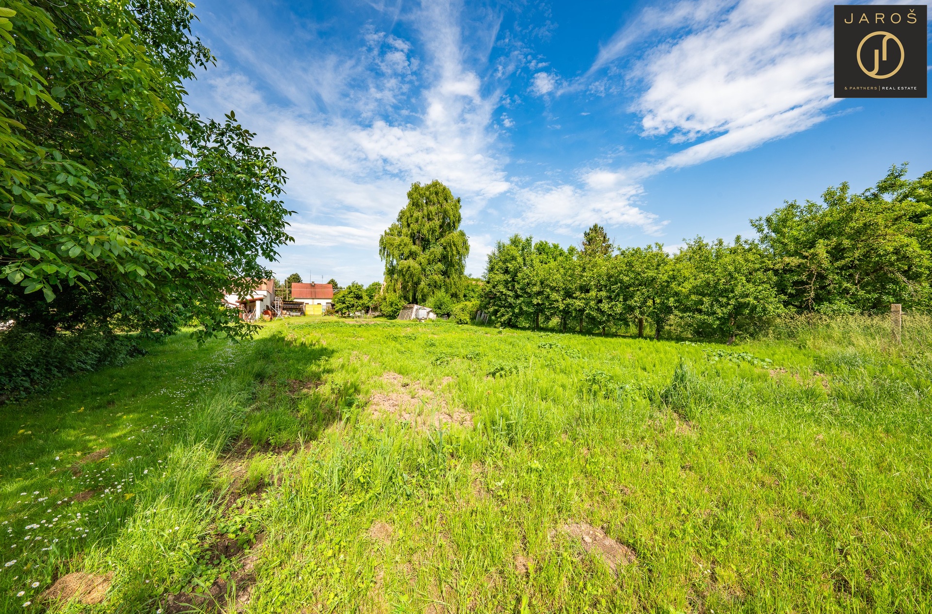 DSC00374-HDR