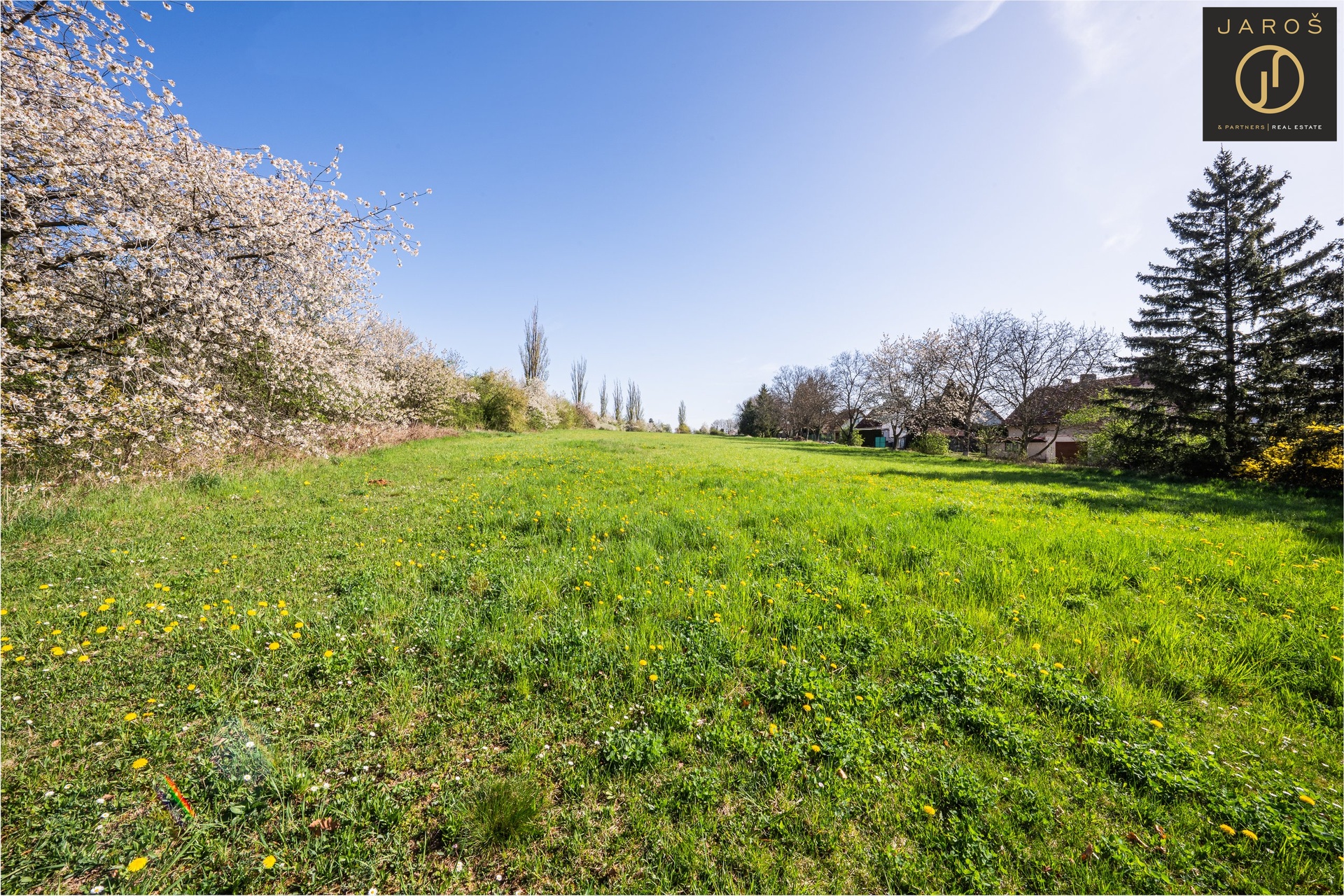DSC03485-HDR