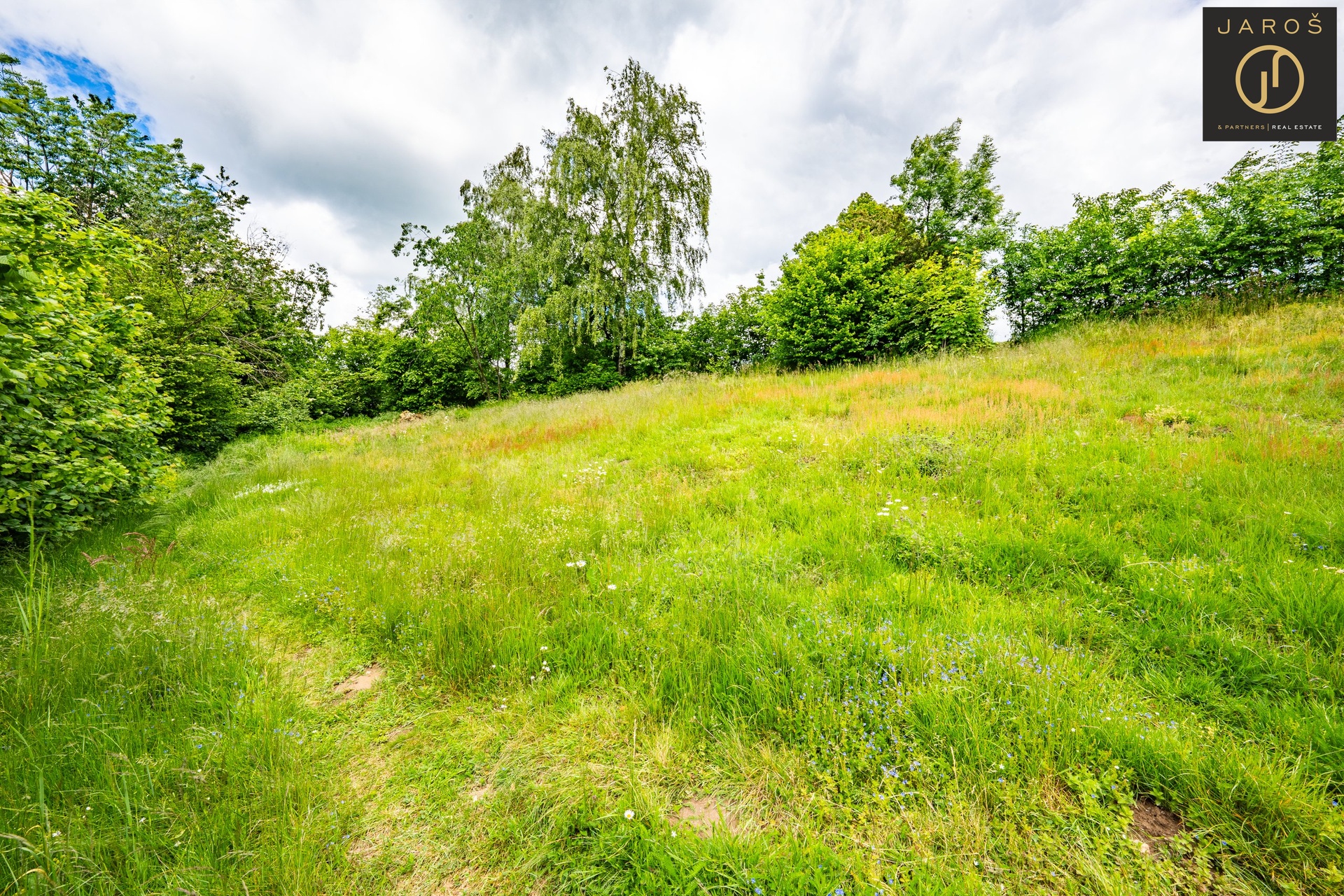 DSC00261-HDR