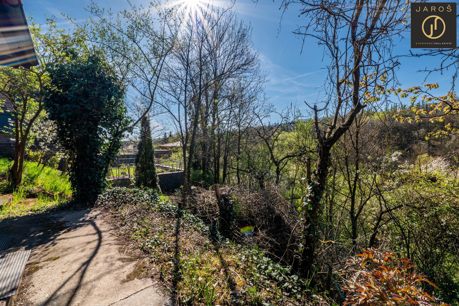 P1184702-HDR