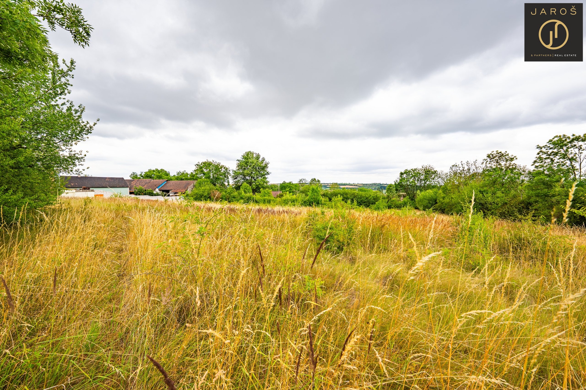 DSC04317-HDR