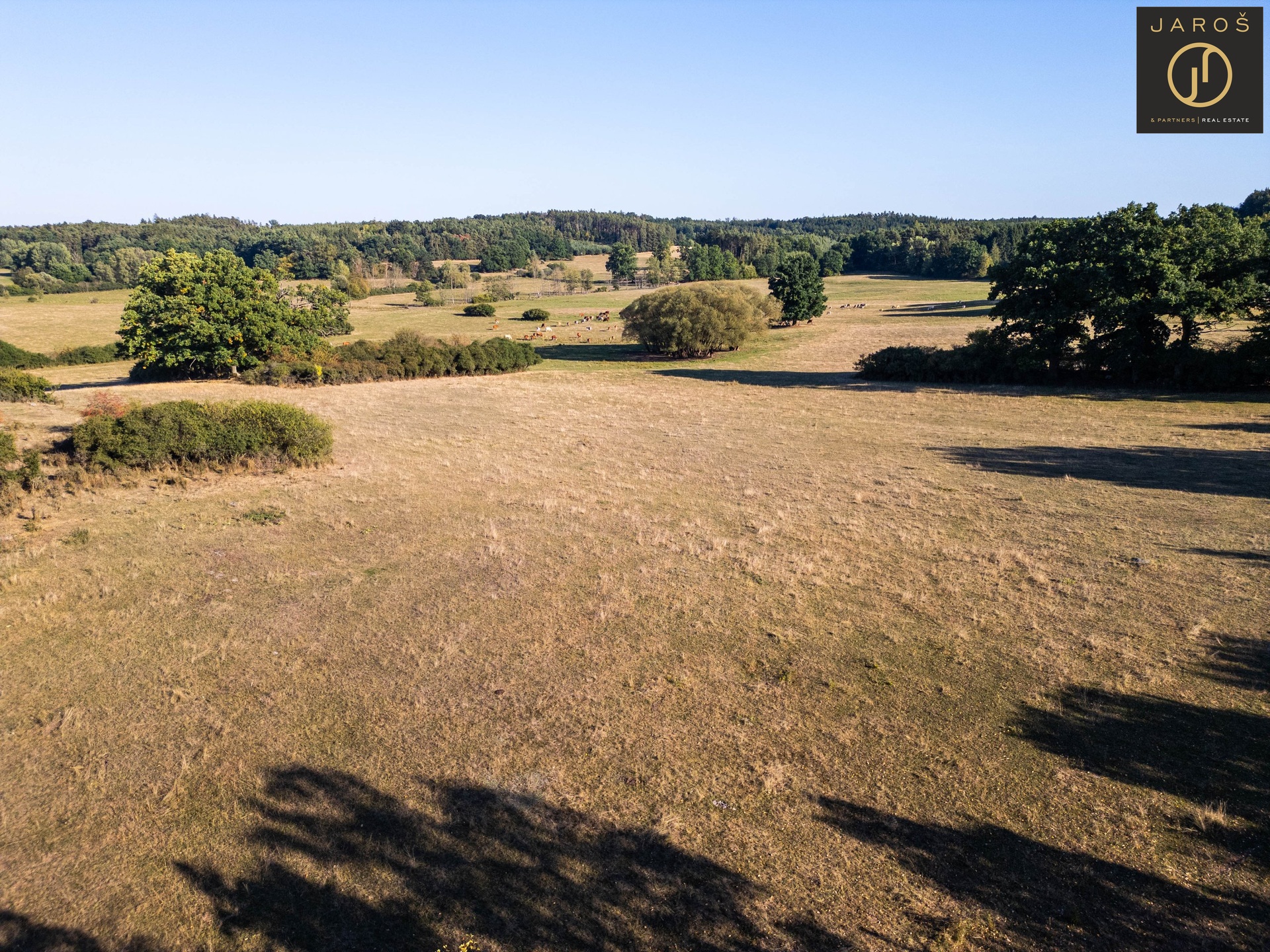 DJI_0549