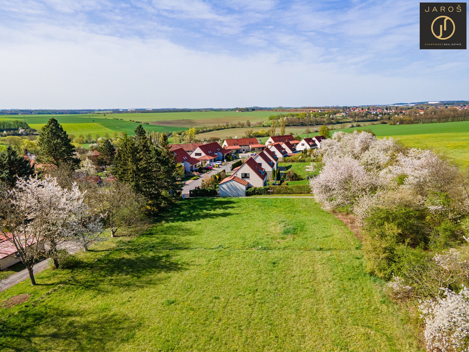 DJI_0181