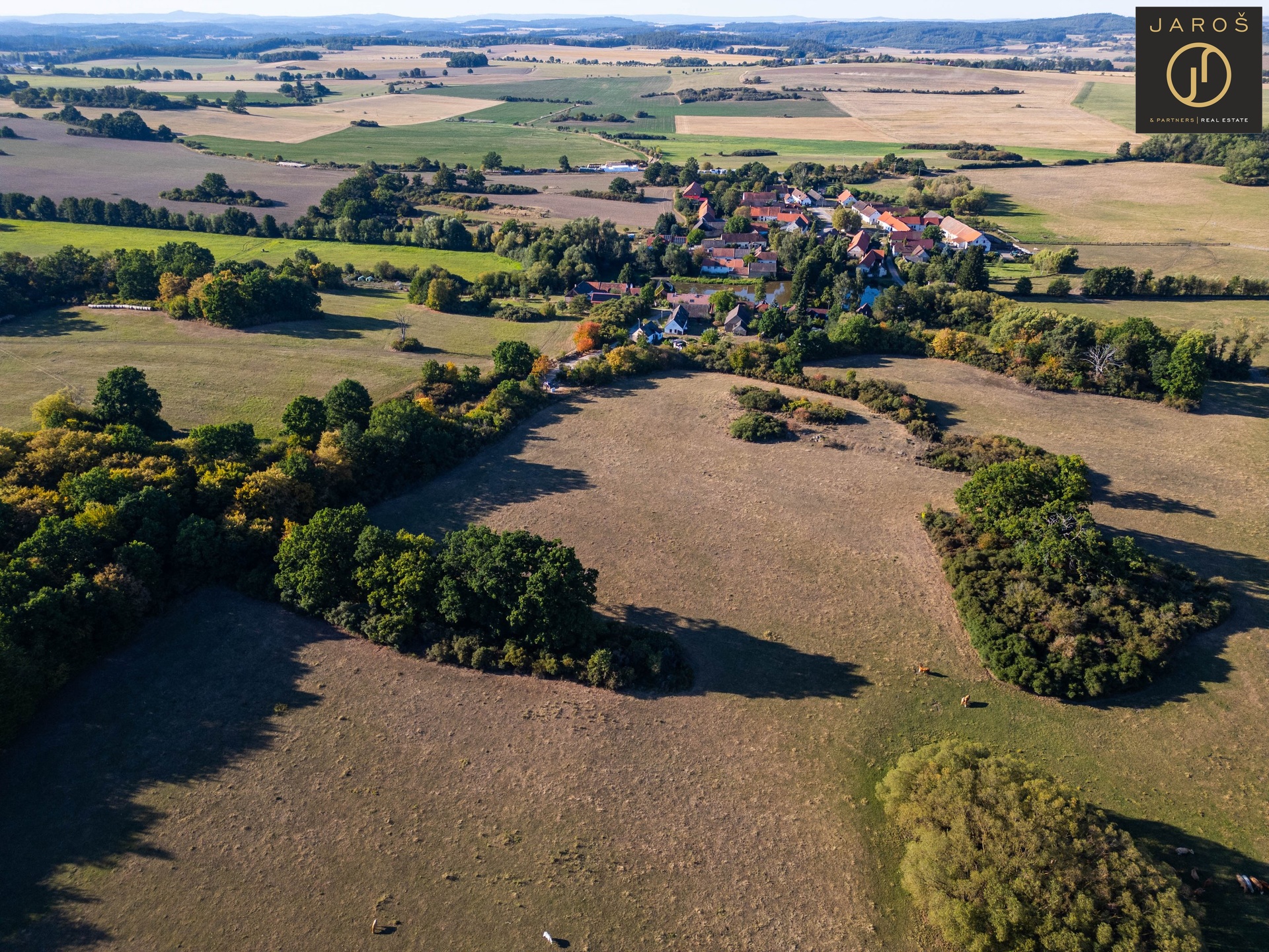 DJI_0519