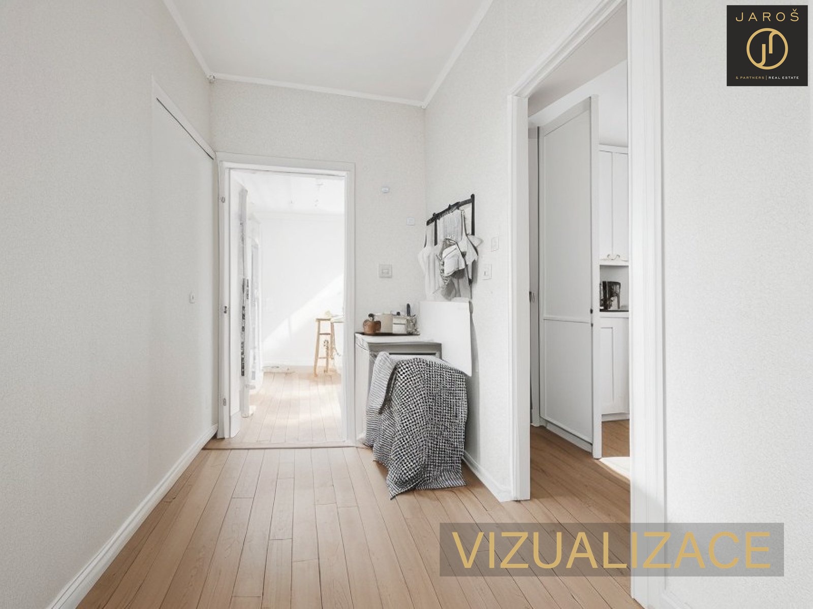 BRIZ_Vizualizace (11)