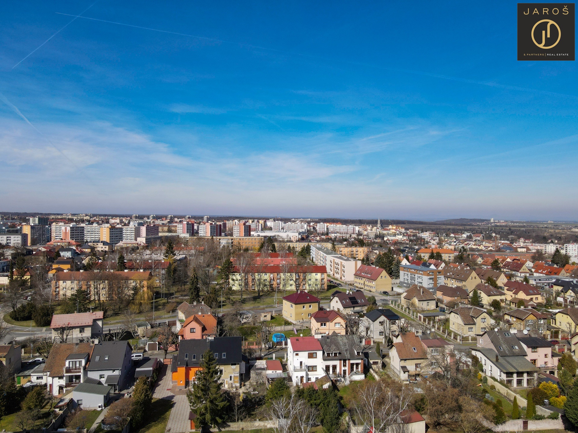 20230317-DJI_0946