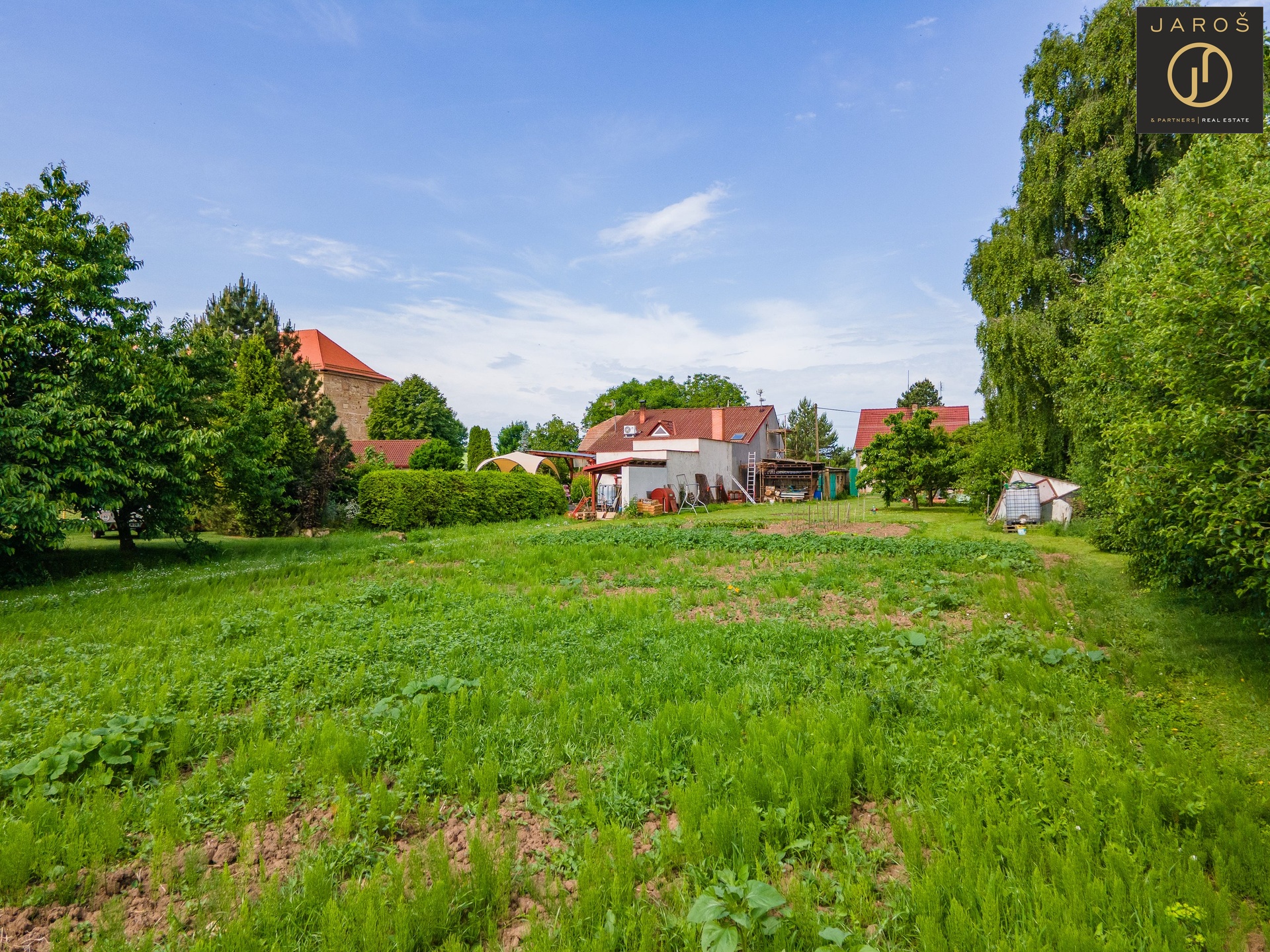 DJI_0310
