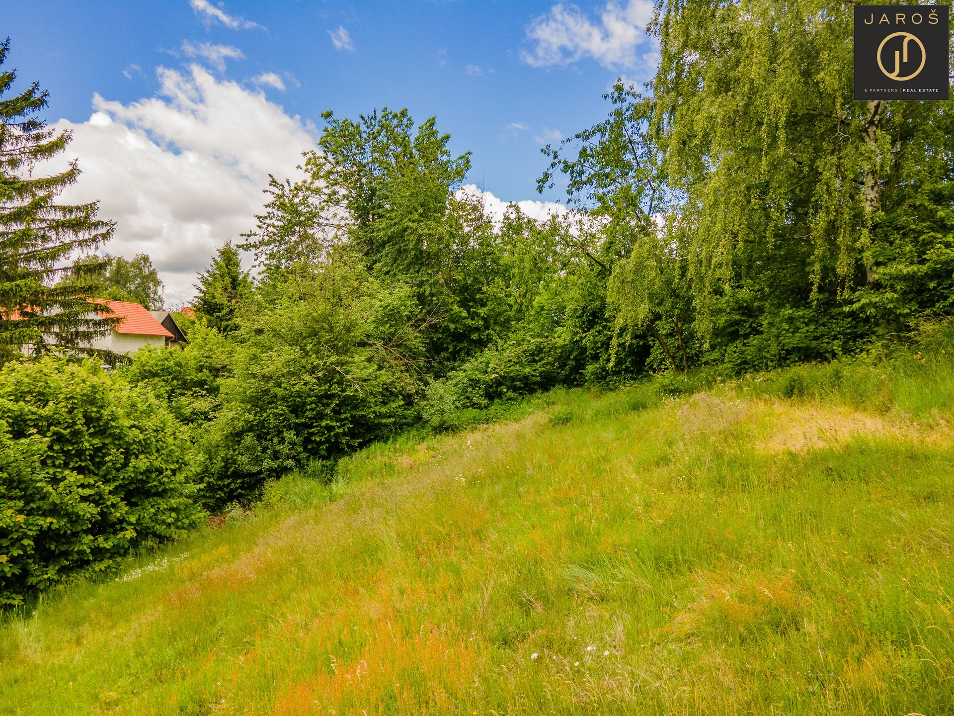 DJI_0295