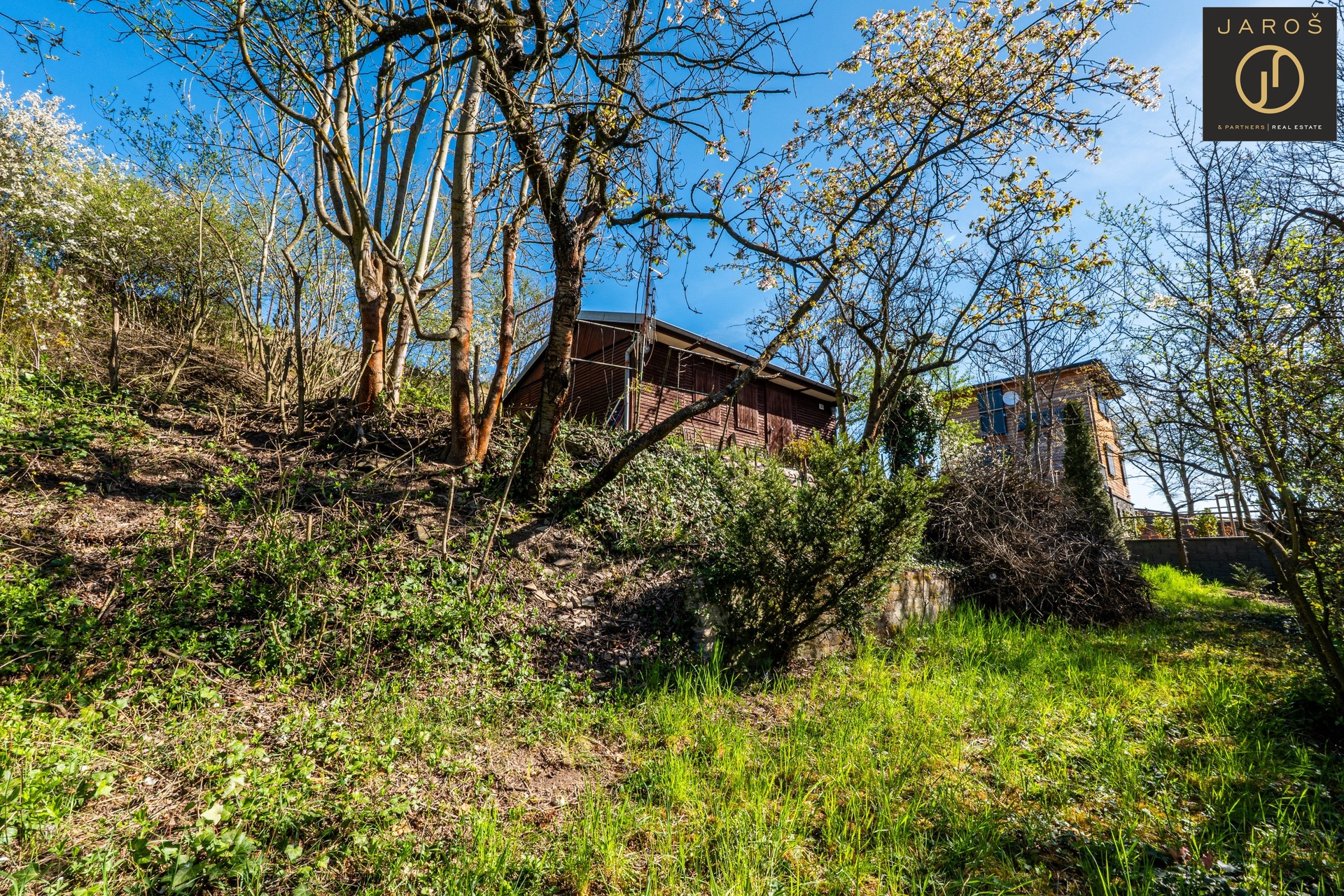 P1184742-HDR