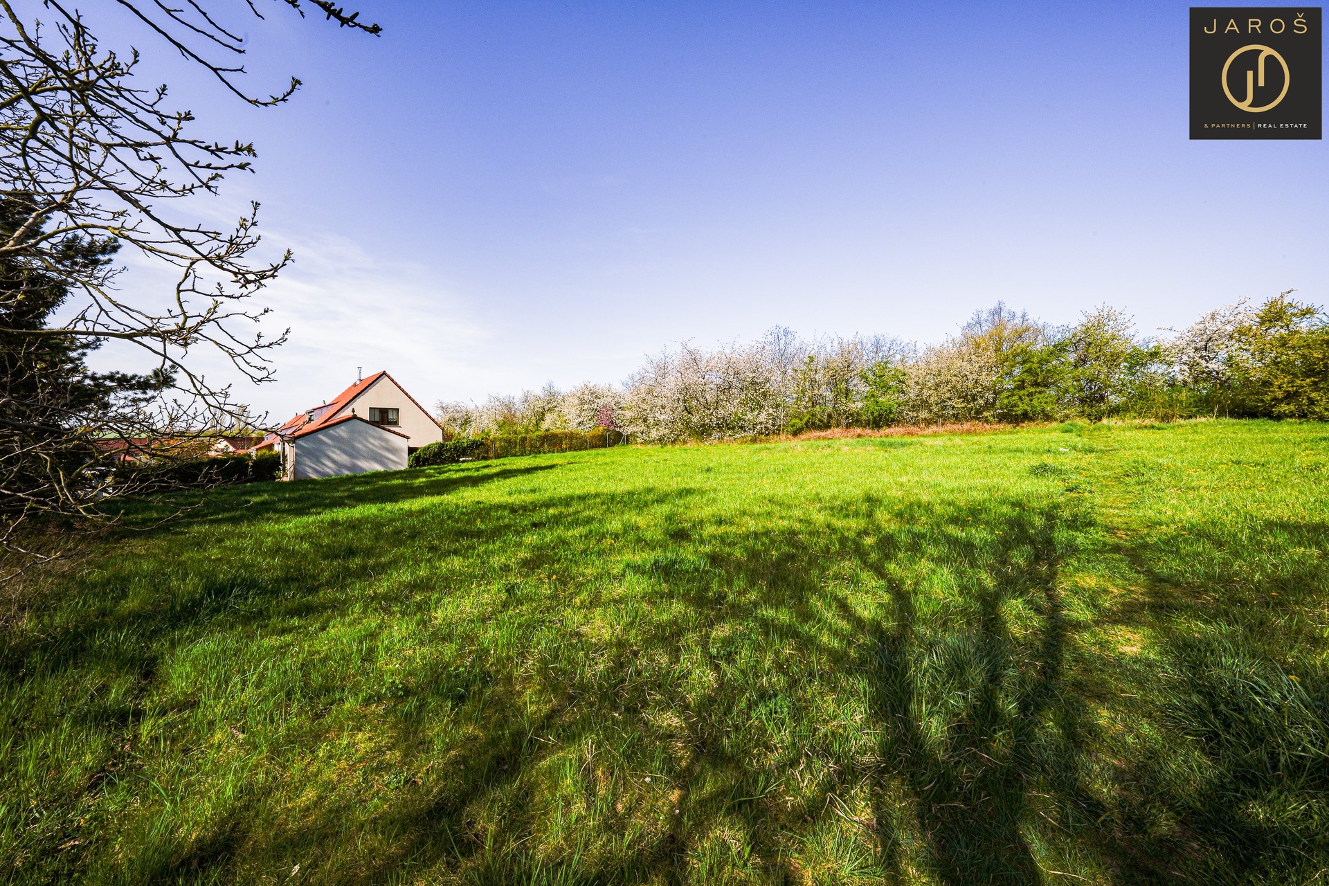 DSC03455-HDR