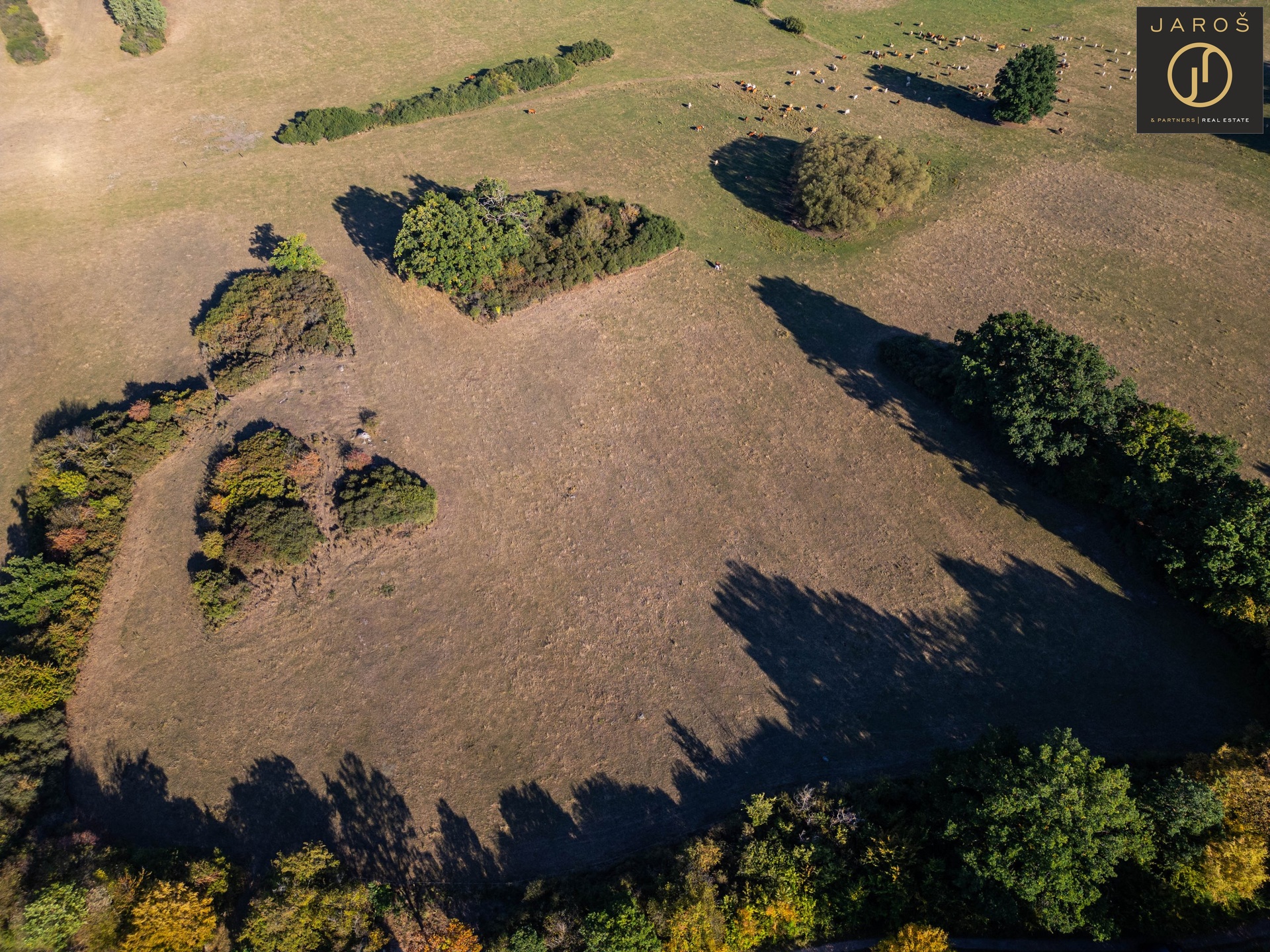 DJI_0535