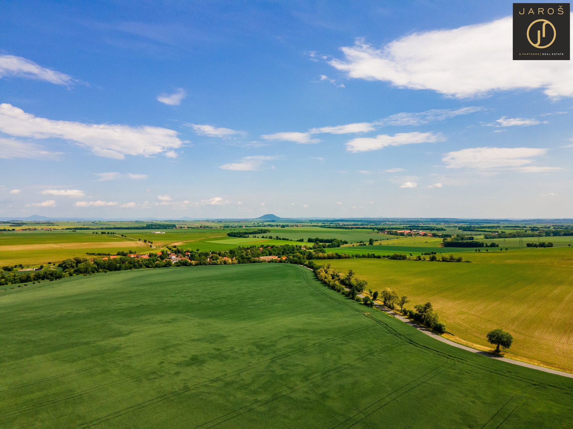 DJI_0356