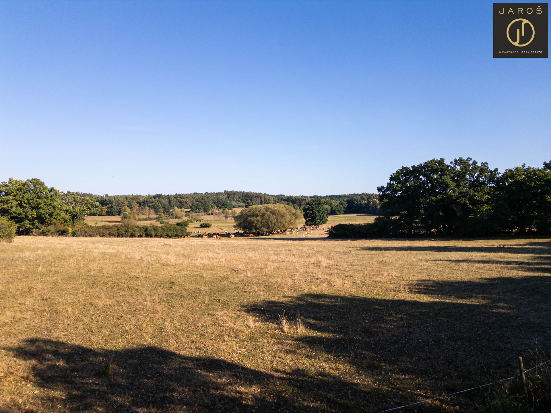 DJI_0514