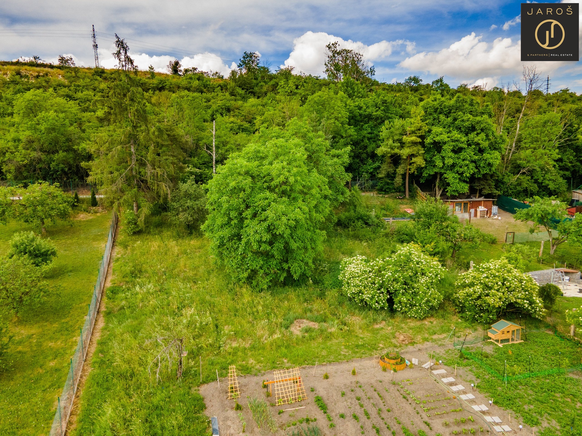DJI_0438