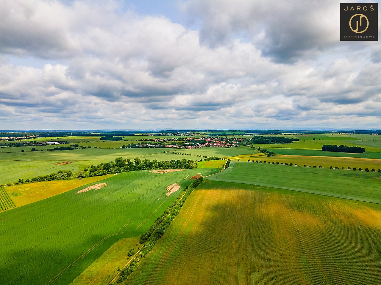 DJI_0441