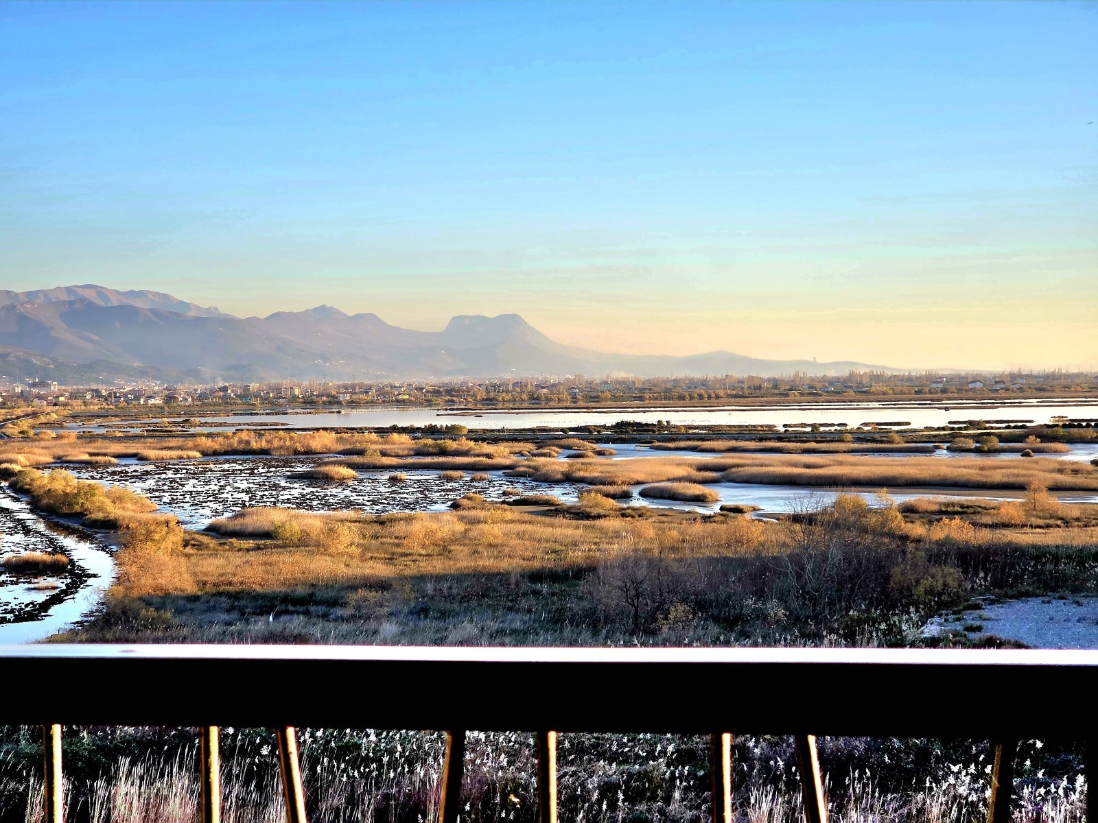 20251214_152450 (1).jpg