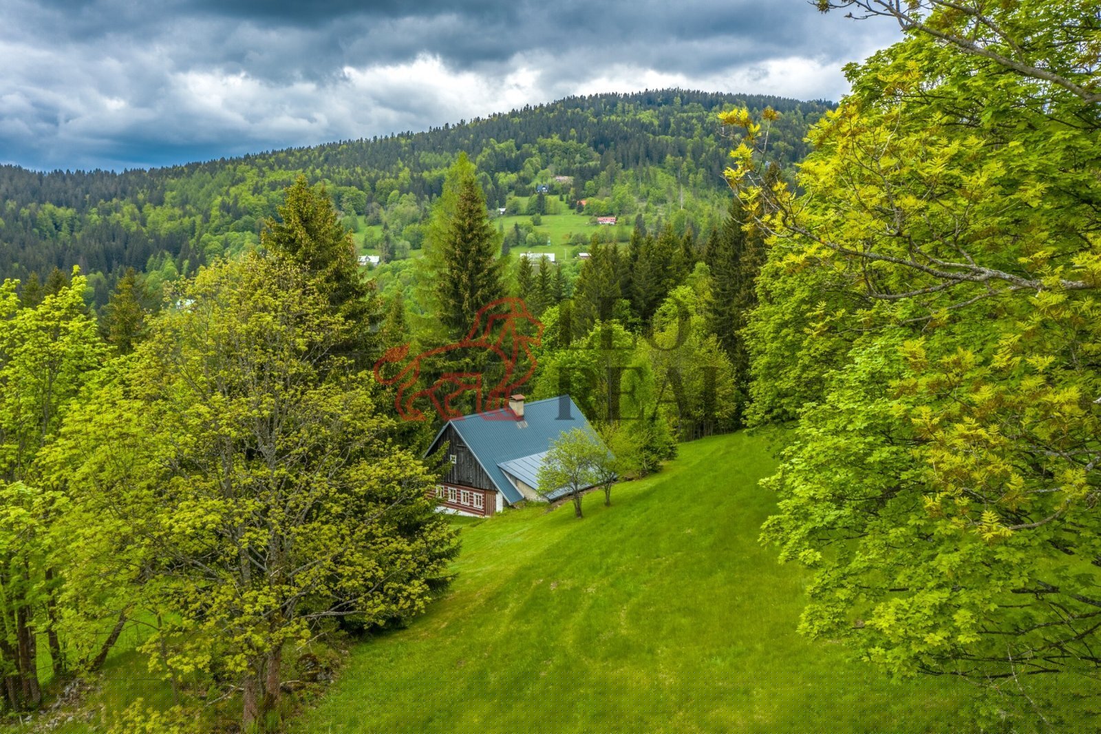 WE6A1803-HDR.jpg