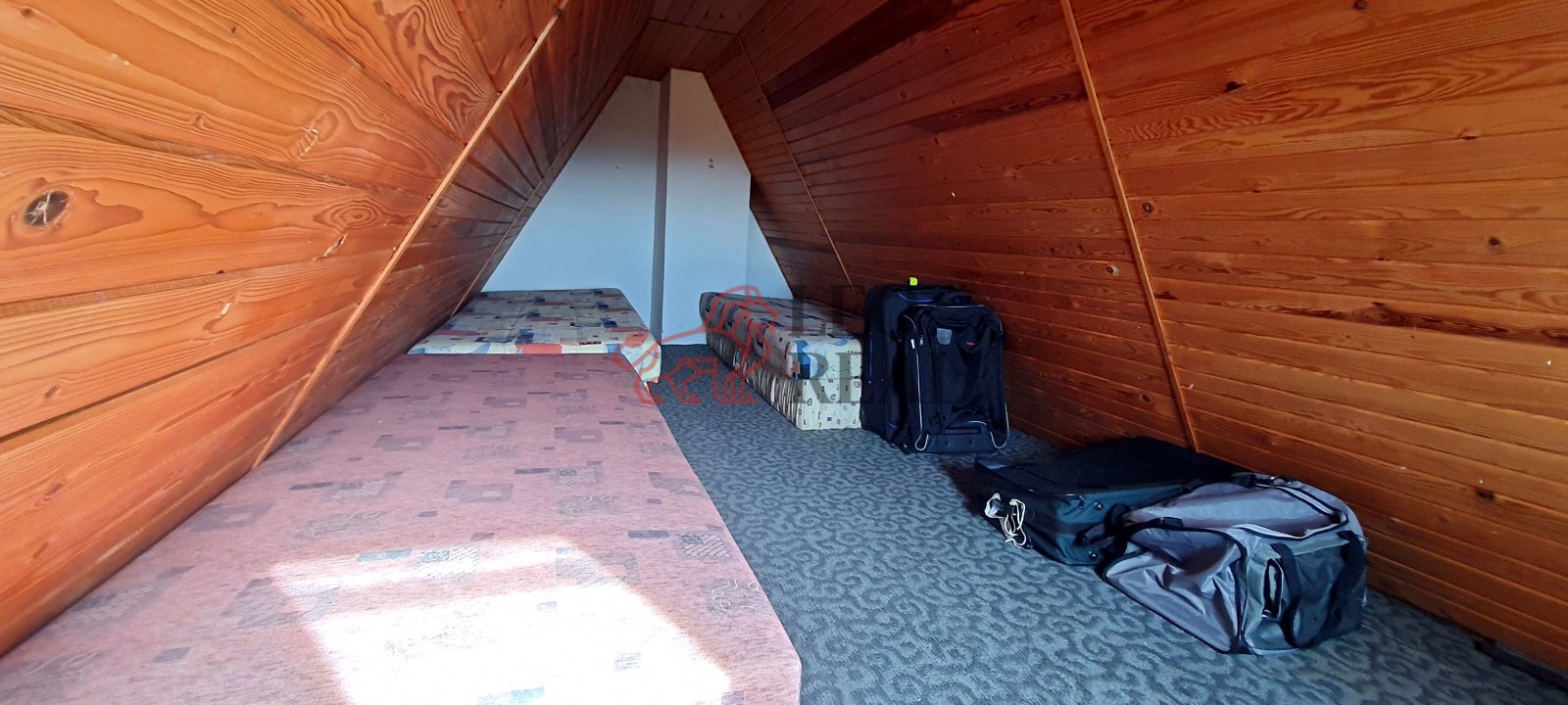 20221005_103247.jpg
