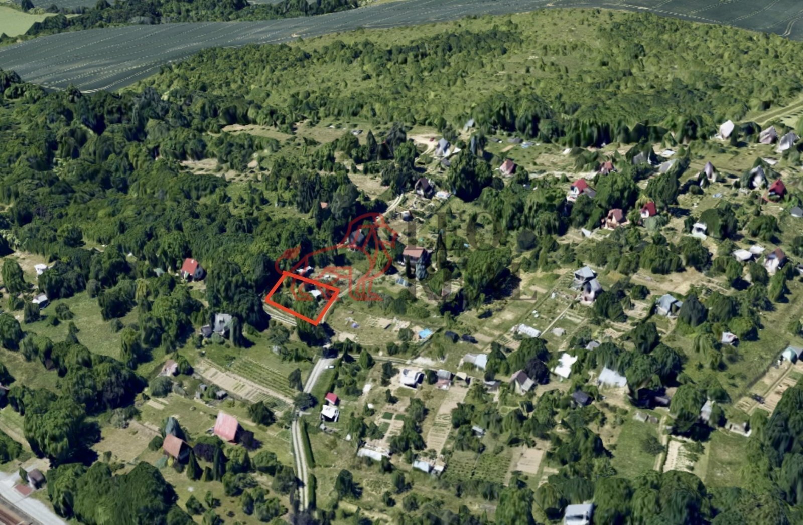 o_1741847300-4884.jpg