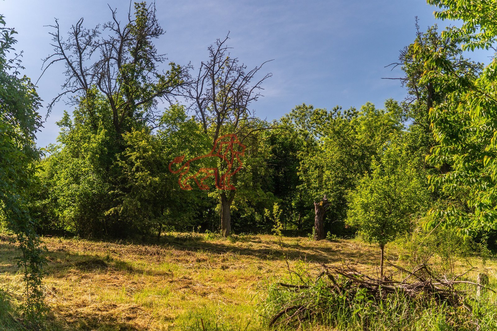 Pozemek, Kouřim (18).jpg