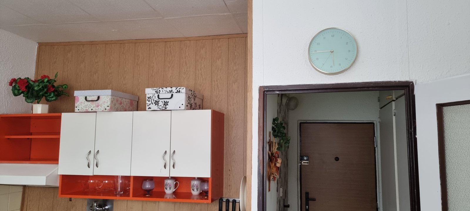 20210417_174518.jpg