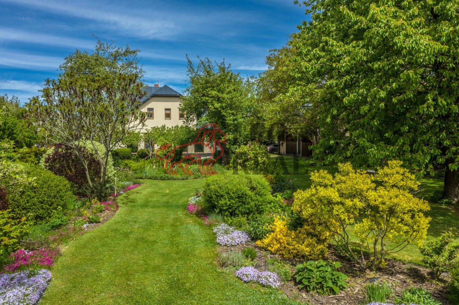 WE6A8503-HDR.jpg