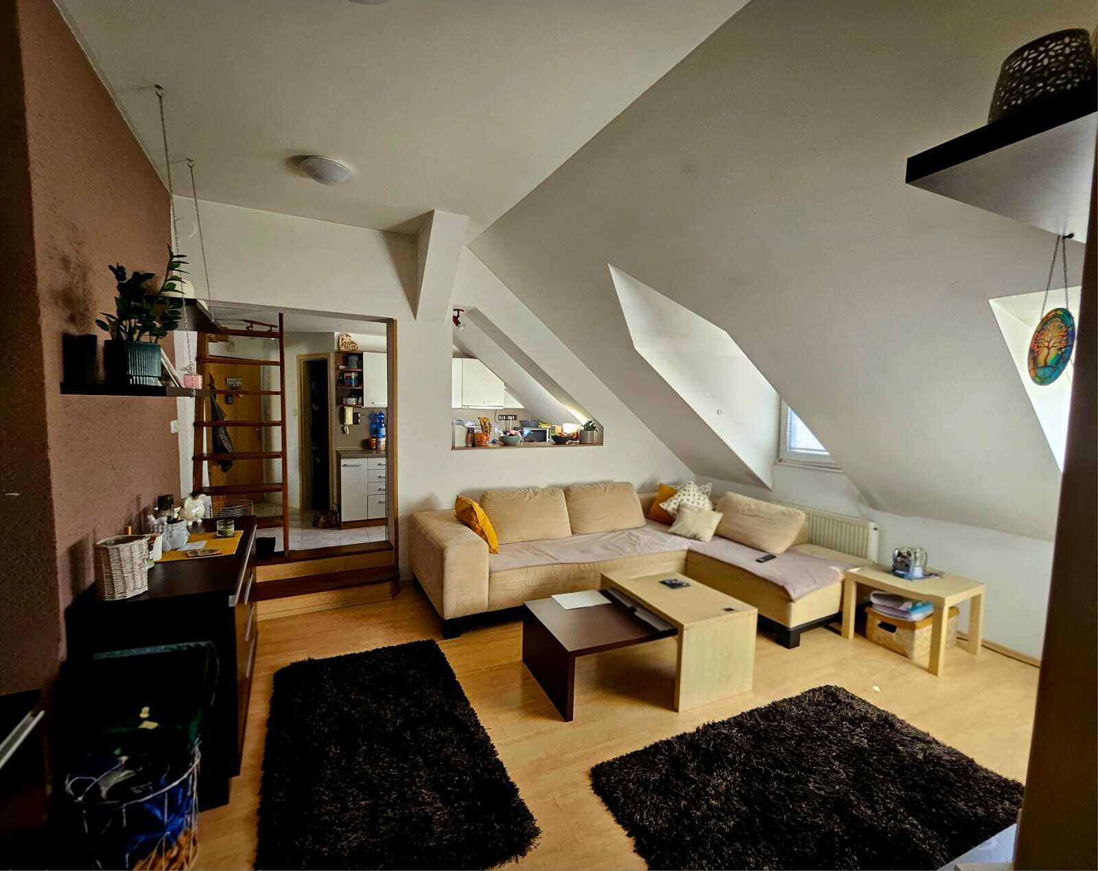 WhatsApp Image 2026-03-02 at 12.49.18.jpeg