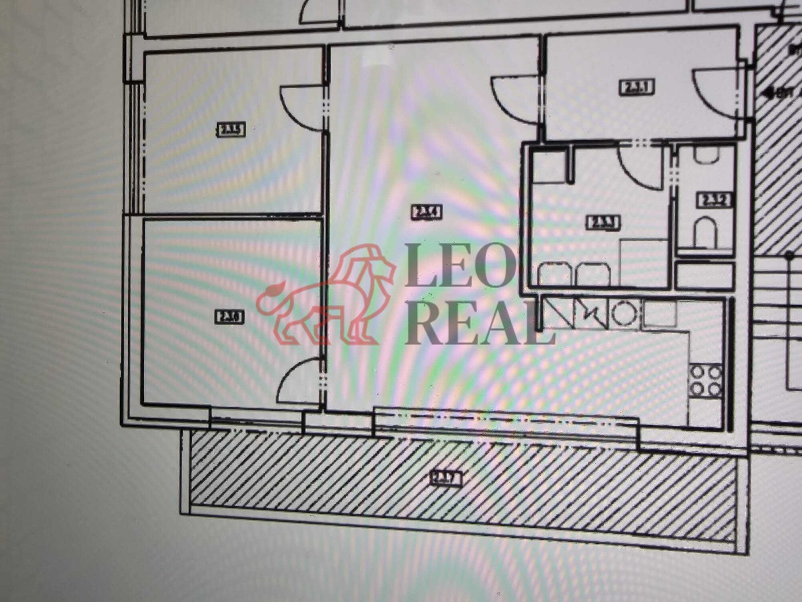 WhatsApp Image 2026-03-02 at 14.17.55.jpeg