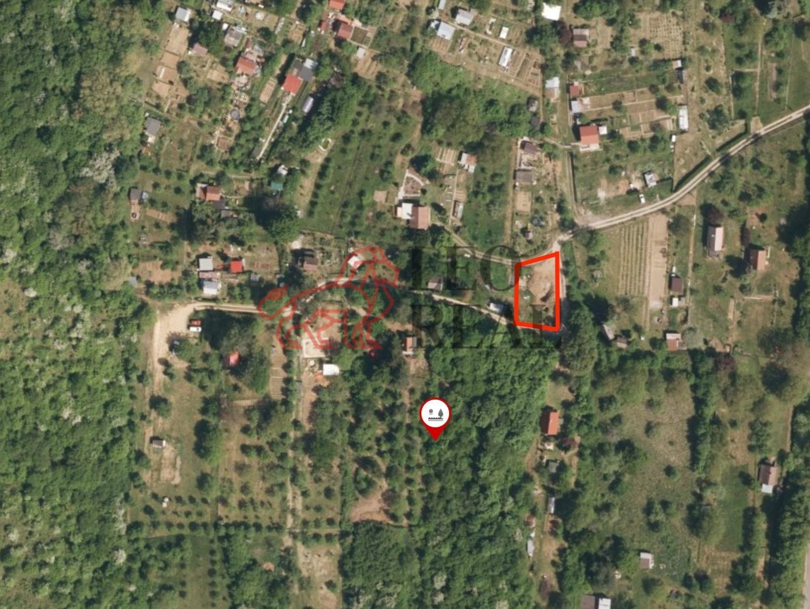 o_1741847296-5726.jpg