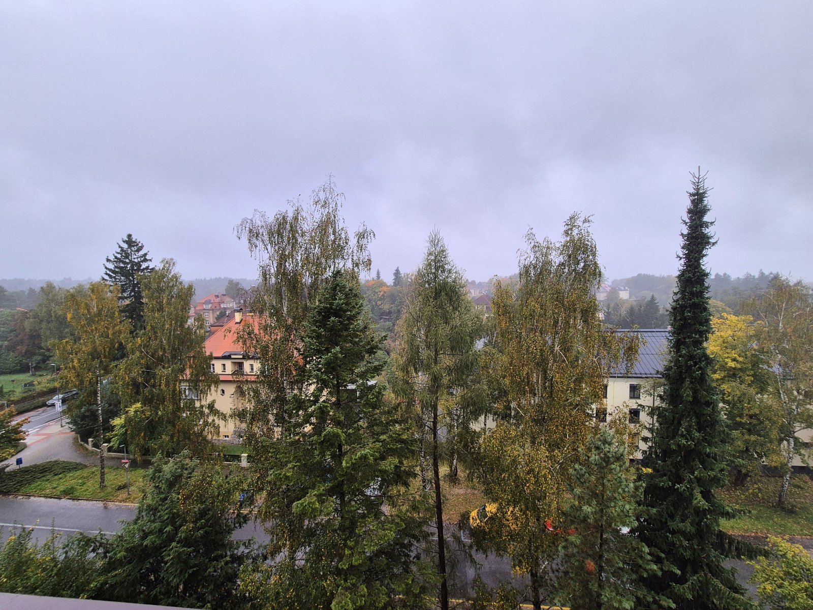 20251009_111142.jpg
