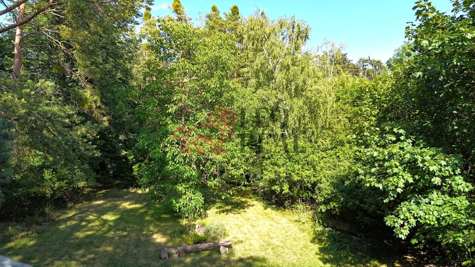 a5.JPG