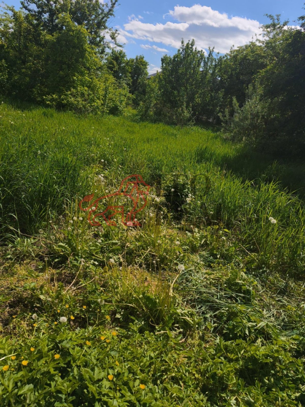 e3746cde-ed69-4150-ae73-70486d0d29b6.jpg