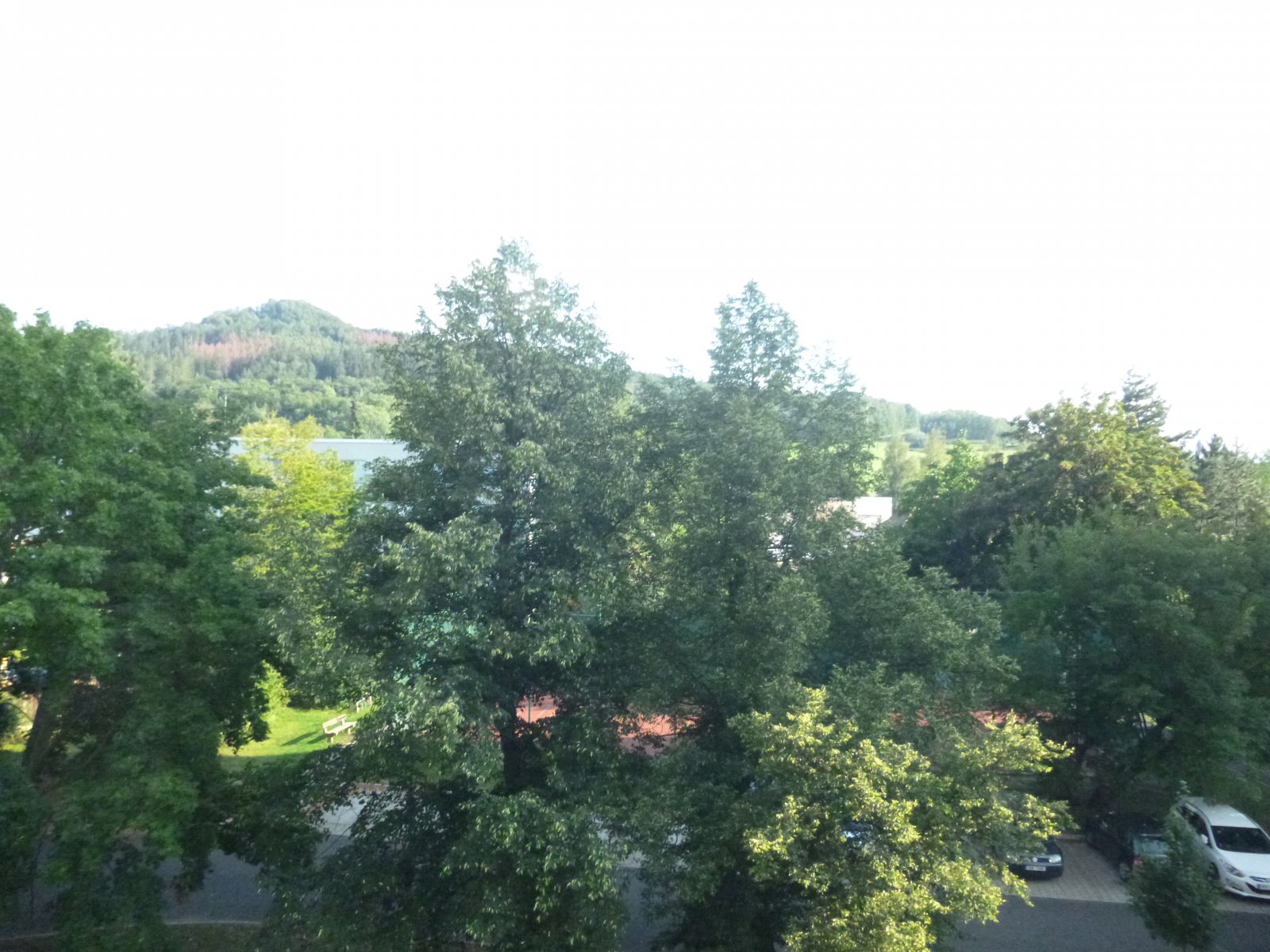 P1090266.JPG