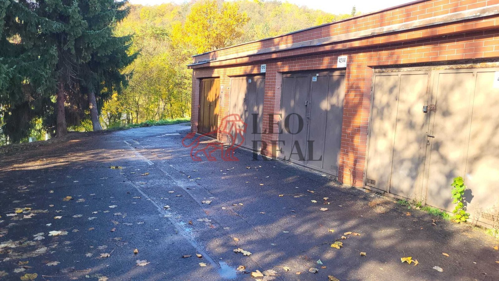 garáž cestička 8.jpg